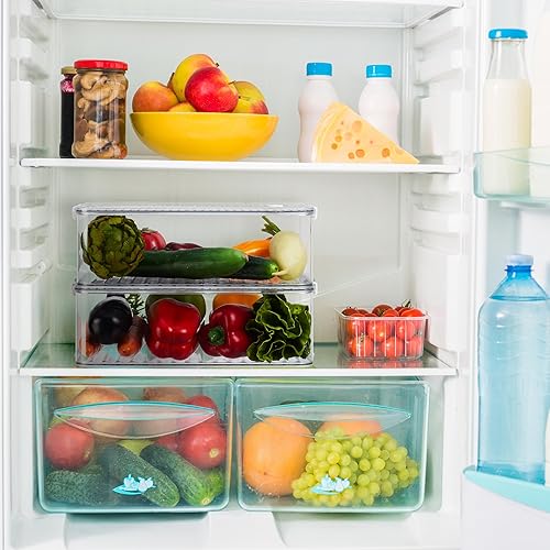 Relaxdays Organiseur de frigo, lot 2, avec Couvercle et Date, H x L x P : 10,5 x 21 x 33 cm, Transparent - Nail Gallerys