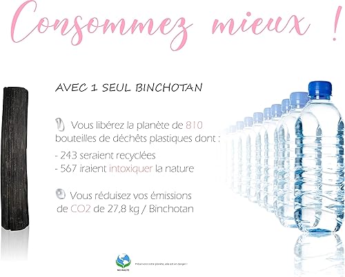 BAYTIZ ® Puissant Filtre à Eau Végétal au Charbon Actif - Baton de Binchotan Bio x5 - Purifier l' Eau du Robinet en Bois Naturel - Carafe Bouteille Vrai Purificateur Verre Écologique Filtrante Filtres - Nail Gallerys