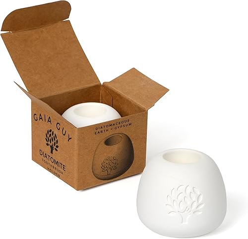 Gaia Guy Porte-brosse à dents en terre de diatomée sans désordre – Élégant organisateur de brosses à dents en pierre – Support de brosse à dents en diatomite absorbant l'eau - Nail Gallerys
