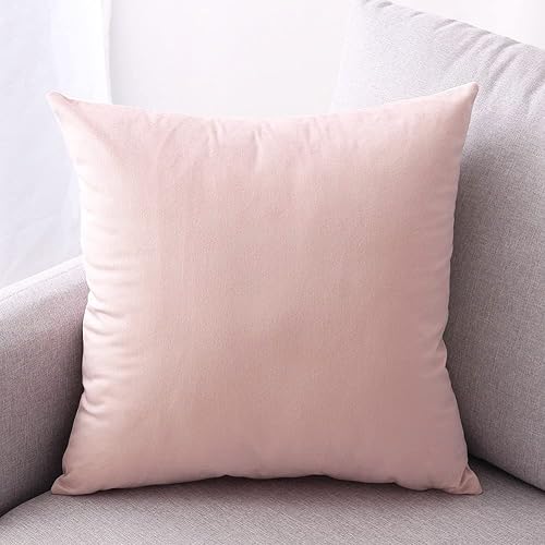 CXTAI Lot de 2 Housse de Coussin Velours 45 x 45 cm Carrées Décoratives - Rose - Nail Gallerys