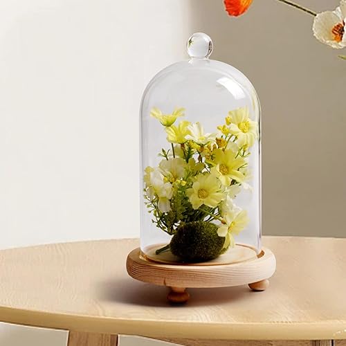 Ronyme Cloches en Verre Transparent, Cloche Dôme Décorative avec Socle en Bois pour Lumières, Décorations de Table, 15x15cm - Nail Gallerys