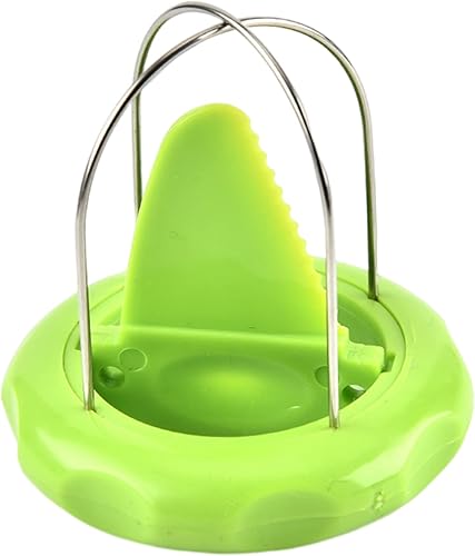 Coupe-kiwi 2 en 1 – Outil de cuisine amovible pour creuser les fruits, outil d'épluchage de kiwi pour appareils de cuisine Pitaya, utile et pratique, pour éplucher, râper et trancher - Nail Gallerys