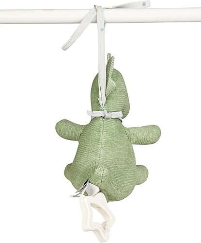 Boîte à Musique S Dino Rexi, Couleur : Vert Pierre - Nail Gallerys