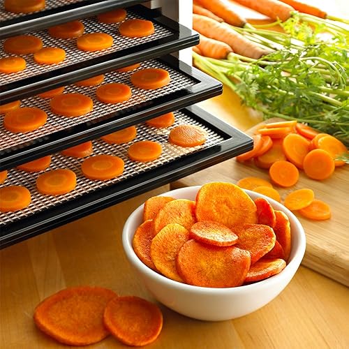 Excalibur 4926T BLK Déshydrateur 600 W Polycarbonate - Nail Gallerys