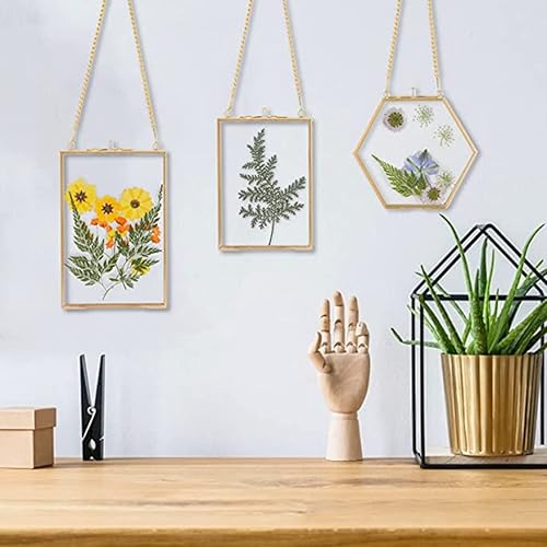 Tiamu Cadre Photo Verre, Cadre d'affichage Flottant pour Fleurs Pressées, Cadres Photo en Verre doré à Suspendre, Spécimen D'usine Clip pour fleurs motif plantes, Cadre Verre Mural pour Photo, Figure - Nail Gallerys