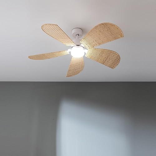 Cecotec - Ventilateur de Plafond avec Lumière EnergySilence Aero 5290 Natural - 40 W, Diamètre 132 cm, LED 18W, 5 Pales et 6 Vitesses, Télécommande et Minuterie, Mode Été/Hiver - Nail Gallerys