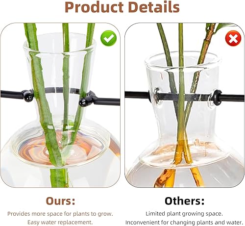 E-ROOM TREND Terrarium avec Support en Bois pour Plantes Hydroponiques Maison Bureau Jardin Décoration Jardinière pour Les Amateurs de Plantes–4 Vases à Ampoules - Nail Gallerys