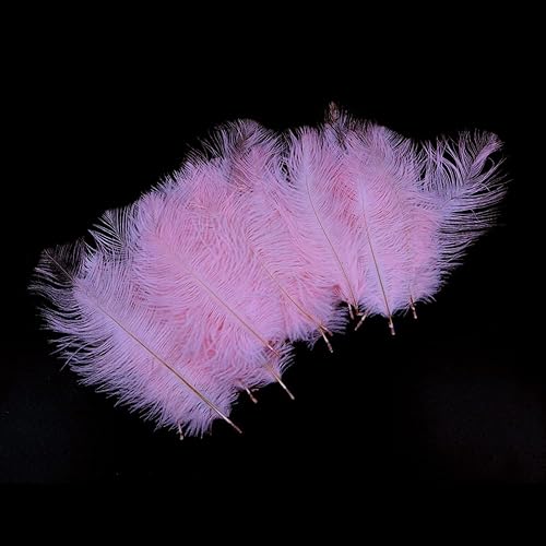 Alnicov Lot de 20 plumes d'autruche naturelles 15 cm-20 cm plumes de plumes de bricolage pour la décoration de table de fête de mariage à la maison (rose) - Nail Gallerys