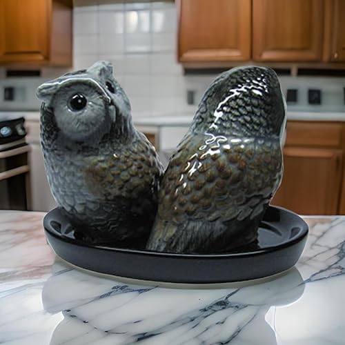 B2SEE LTD Salière et Poivrière en Céramique Hibou - 3 Pièces en Céramique Noire - Nail Gallerys