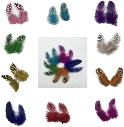 Lot de 50pcs Plume de Coq Ornement Couture Décor Vêtement Bandeau Sac Bijoux DIY 5-10cm - Nature - Nail Gallerys