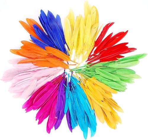 MWOOT 240 Pièces Plumes Colorées, Naturel Artisanat Plumes d'oie pour DIY Craft Boucles d'oreilles Artisanat Accueil Fête Mariage Baby Shower Décorations (4-6 Pouces) - Nail Gallerys