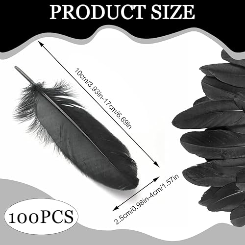 LONZIKP 100 plumes noires, plumes naturelles pour bricolage, décoration de mariage, plumes pour attrape-rêves, boucles d'oreilles, DIY (noires) - Nail Gallerys