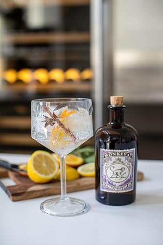 Koziol Superglas Club No.15 Lot de 2 verres à cocktail et à gin 400 ml avec pied en plastique transparent luxueux incassable réutilisable pour fête, camping - Nail Gallerys