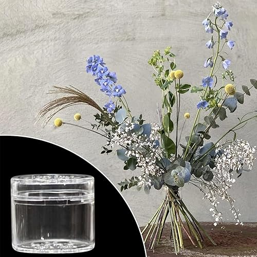 Voihamy Support De Tige Fleur Clair, Support Tige D’ en, Support Tige en pour Fleurs, Twisters Bouquets, Porte-Bouquet Fleurs pour Vases, Accessoires pour Compositions Florales - Nail Gallerys