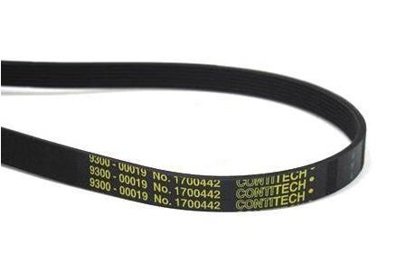 Contitech - Courroie de sèche-linge 1700442 - Nail Gallerys