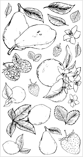 Sizzix Ensemble de 19 tampons transparents Botanical Fruit par Lisa Jones - Nail Gallerys