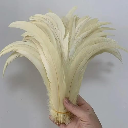 50pcs plumes de queue de coq plumes 25-45CM 10-18 pouces Beige bricolage teint queue de coq bijoux Performance vêtements accessoires-vert-10-12 pouces 25-30 cm - Nail Gallerys