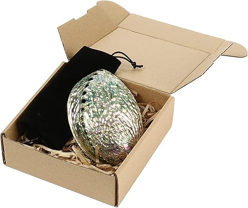 Coquillage Grand Ormeau, Plusieurs Trous Maculage Décoratif Accessoire Fête Mariage Maison Décoration 90 mm x 120 mm x 39 mm Trou : Environ 3 mm-9 mm - Nail Gallerys