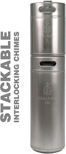 HopsBrew Mini growler en acier inoxydable 304 (10 L standard argent) - Nail Gallerys