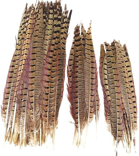 Plumes de queue de faisan à collier naturel pour artisanat bricolage coiffure pour centres de table de couture plumes 10-60cm - Nail Gallerys