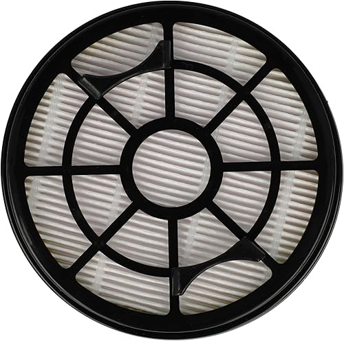 vhbw Lot de filtres compatible avec Rowenta Swift Power Cyclonic RO2917, RO2917EA, RO2932 aspirateur - 2x Filtres (filtre HEPA, préfiltre) - Nail Gallerys