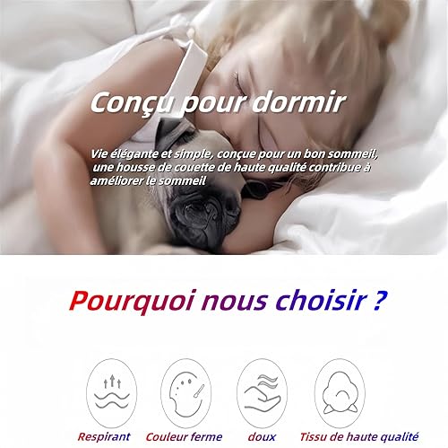 Animaux de La Jungle Housse de Couette 220x240 Enfant GarçOn Fille Ado Lion Parure de Lit 220x240 Adulte Animaux de La ForêT Parure de Lit 2 Personnes 100% Microfibre - Nail Gallerys