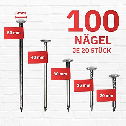 RIKAMA® - Lot de 100 clous en acier pour tableau - Pour une utilisation sur le béton, la brique, le plâtre et le bois - Clous en acier trempé comme suspension pour images - Fabriqué en Allemagne (doré - Nail Gallerys