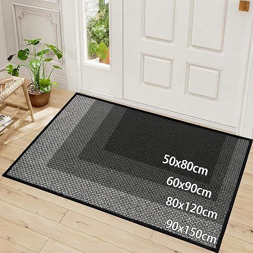 KMVIZI Tapis Entree Interieur 60x90 cm, Paillasson Interieur Entree, Tapis de Sol Antidérapant et Absorbant, Lavable Paillasson Attrape-Poussière Chambre, Cuisine, Couloir, Chien, Noir - Nail Gallerys