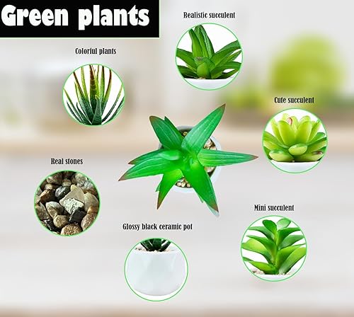 MukMlon Plante Artificielle,Petite Simulation Succulent,Fausse céramique Blanche,Bureau, décoration intérieure(4pcs) - Nail Gallerys