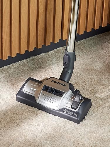 Hoover G239AFP Brosse pour Tapis et sols durs pour aspirateur, Originale, Compatible avec Les aspirateurs Athos, Reactiv, Telios Extra, Synthesis, Prodige AC, Athos DC - Nail Gallerys