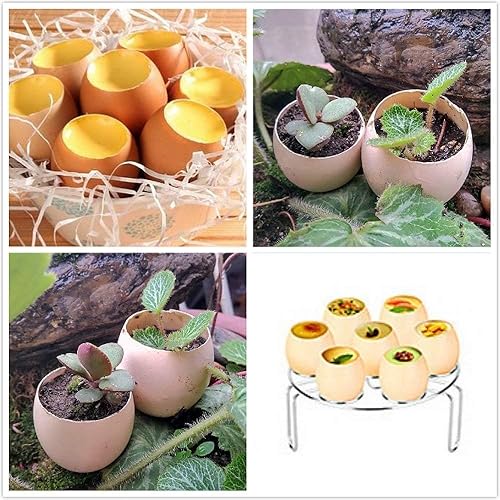 Coupe-Coquille Ouvre-Oeuf Stainless Steel Ouvreur de Coquille pour Ouf dur/mou dur - Nail Gallerys