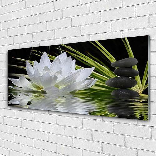 Tulup Impression sur Verre de 125x50 cm - Image - Tableau - Photo décorative panoramique - Floral Fleur Eau Pierre - Nail Gallerys
