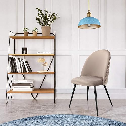 SANSHREUNI Lot de 2 chaises de salle à manger modernes rembourrées avec dossier en velours doux et pieds réglables en métal pour salon ou chambre à coucher Gris - Nail Gallerys