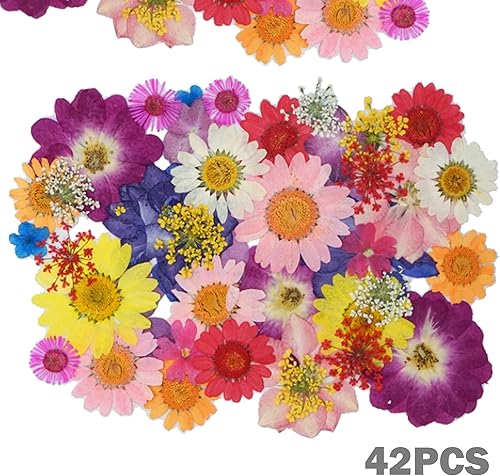 Cayway 160 PCS Fleurs Séchées Mélangées Kit avec Pince à Épiler et Ciseaux, Fleurs Pressées Séchées Naturelles pour L'artisanat d'art de Bricolage, Les Bijoux en Résine Epoxy - Nail Gallerys