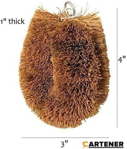 HirrWill Lot de 3 brosses japonaises pour nettoyer les fruits et légumes - Nail Gallerys