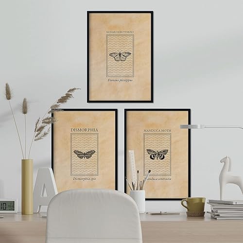 Nacric Vintage Lamina coccinelle. Affiches d'insectes dans un style gravé et des sopia. Décoration d'intérieur. Taille A4 avec cadre. - Nail Gallerys