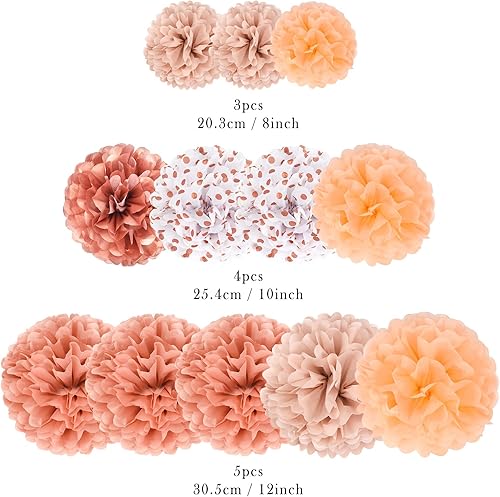 Yumcute 12 Pièces Pompon Papier de Soie Rose Gold, Boule de Fleur en Papier Decoration Salle de Mariage, Boule Fleur a Suspendre pour Decoration Mariage Champetre, Bapteme et Anniversaire Chambre - Nail Gallerys