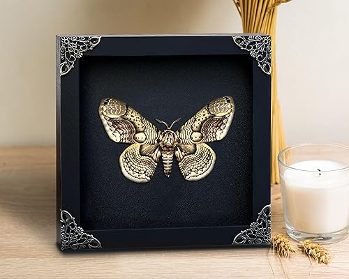 Véritable tête de mort Acherontia, cadre blanc, tête de mort, papillon, boîte à ombres faite à la main, insectes, curiosités, taxidermie unique, objets de collection, décoration murale de table, - Nail Gallerys