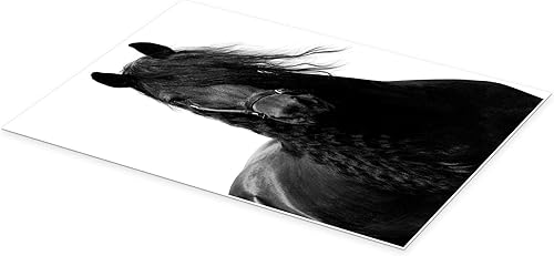 Posterlounge Cheval Tableau sur toile de Finlay and Noa 20 x 30 cm Noir et blanc Tableaux Décoration murale - Nail Gallerys