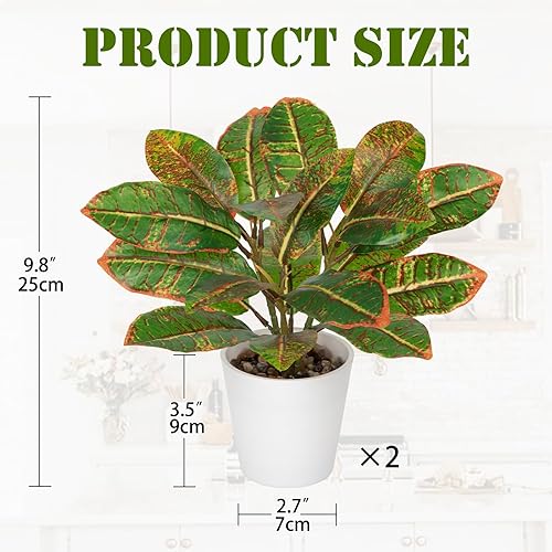 Arborus Lot de 2 plantes artificielles en pots blancs, 25 cm, fausses plantes croton avec feuilles colorées, petites plantes artificielles décoratives d'intérieur pour décoration de table de maison - Nail Gallerys