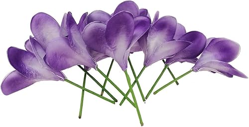 Bouquet de 10 Fleurs de Plumeria artificielles en PU, Vrai Toucher réaliste Faux Bouquet de Fleurs Hawaii Lei Frangipanier pour Mariage été Aloha Party décoration de la Maison (Violet + Blanc) - Nail Gallerys