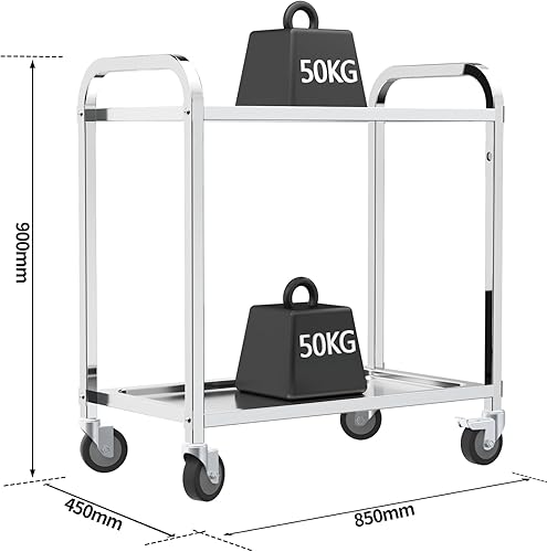 TAIMIKO Desserte Cuisine à roulettes 2 Plateaux Chariot de Service INOX Chariot de Restaurant avec roulettes, Rangement Mobile Plateau - Nail Gallerys