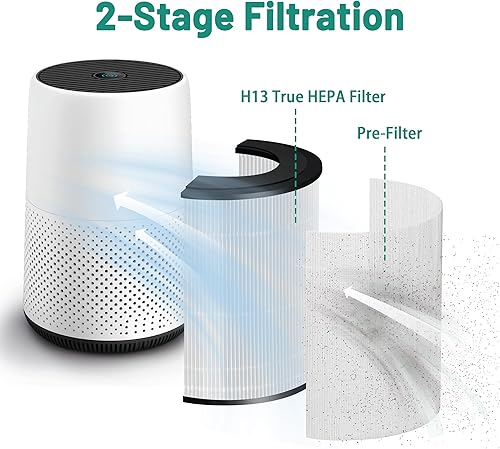 TOMORAL FY0194 Filtre HEPA Remplacement Compatible avec Purificateur Air Philips Série 800, pour AC0820/10, AC0820/30, AC0830/10, AC0819/10. Remplace Pièce FY0194/30, Paquet 1 - Nail Gallerys