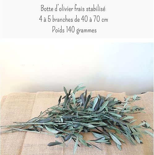 Vrai Branche d'Olivier Stabilisé Naturel, Bouquet Olivier Préservé éternel pour Mariage Décoration Rameaux Centre de Table Couronne, Bouquet Fleurs séchées Vert, Artisanat de France - Nail Gallerys