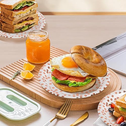 Hisdricus 50 Assiette Carton,Assiette Jetable,Biodégradable,Adapté pour les fêtes, les barbecues, anniversaires, les mariages et autres événements, robuste 300 g/m²(Or rose) - Nail Gallerys