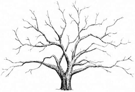 EQLEF Mariage Invité Empreinte Digitale, Bricolage Mariage Arbre D'empreintes Digitales Personnalisé Mariage Empreinte Arbre Livre d'or Affiche De Mariage Fournitures - Nail Gallerys