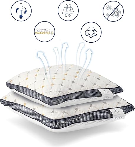New Lot de 2 oreillers, Housse 100% Coton, Rembourrage en Microfibre de Haute qualité, Coussin de Couchage Ferme et de Soutien, Oreiller de lit pour Personnes allergiques, Respirant (60 x 60 cm) - Nail Gallerys