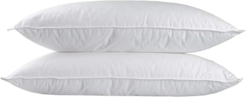 HOMESCAPES - Oreiller Ultra Doux en 100% Microfibre, Lot de 2, hypoallergéniques et Moelleux – 50 x 75 cm - Nail Gallerys