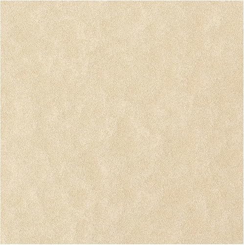 Favini a69u084 Parchment Paper 50 A4 Papier d'impression - Nail Gallerys
