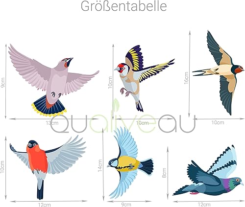 QUALIVEAU® Autocollant de protection contre les collisions d'oiseaux sur film transparent pour verre dépoli, 6 espèces d'oiseaux régionales, kit complet avec aide au collage - Nail Gallerys